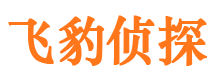 闵行外遇调查取证